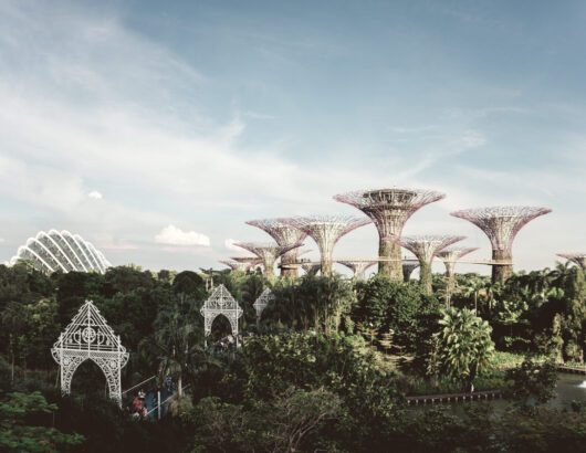 Gardens by the Bay